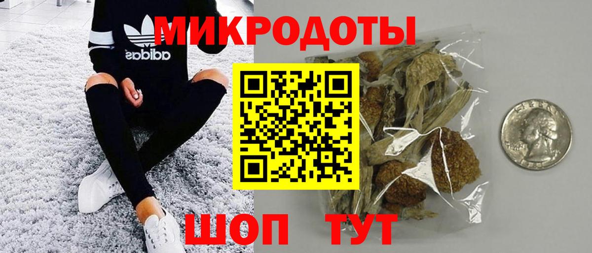 Холмск  Псилоцибиновые грибы Psilocybe  Вход с VPN 